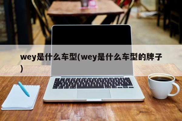 wey是什么车型(wey是什么车型的牌子)